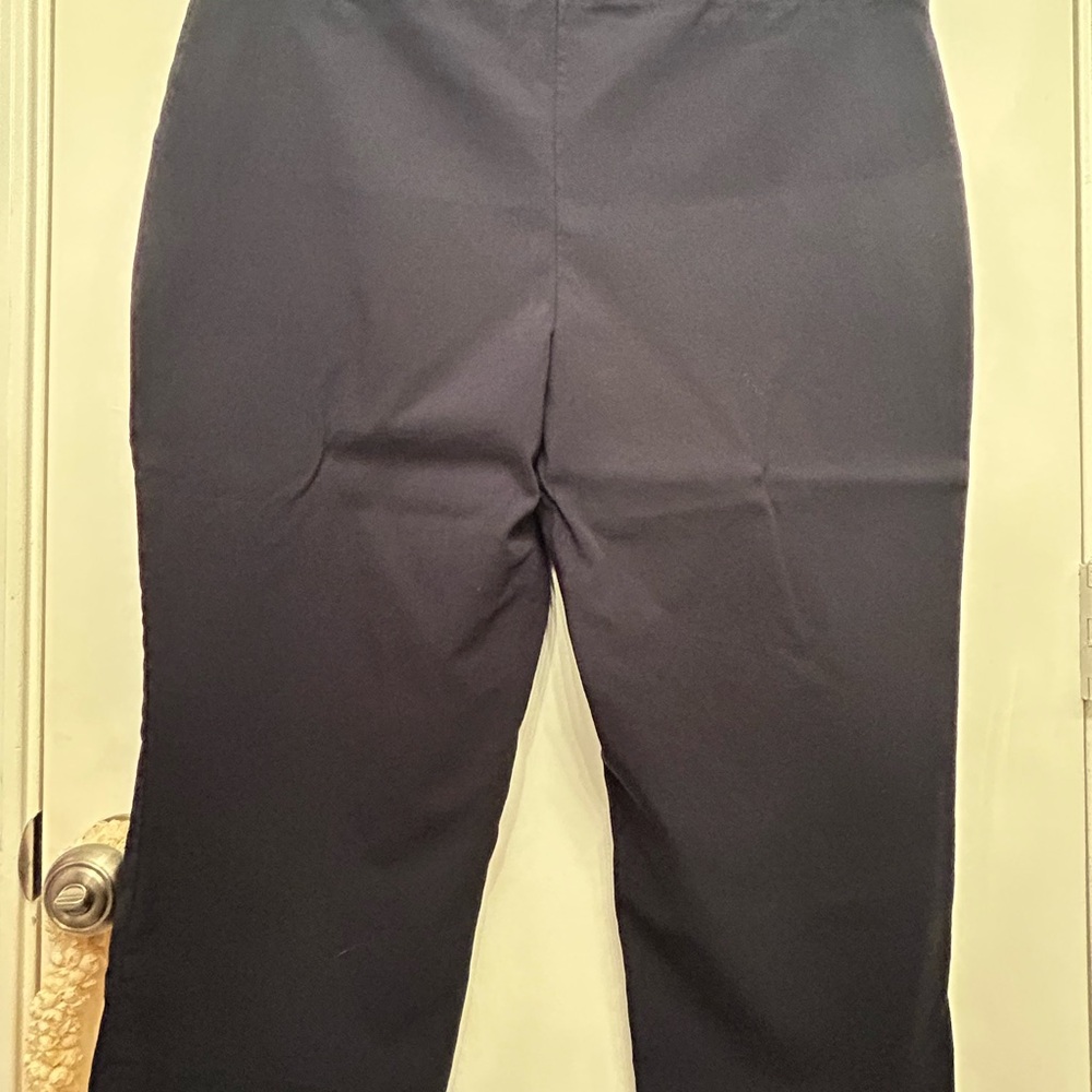 Dana Buchman Superstretch Womens Medium Capris Navy Blue XL - Picture 3 of 5